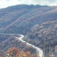 Участок 7 сот. (ИЖС)