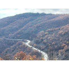 Участок 7 сот. (ИЖС)